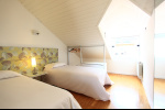 Large new rental apartments madrid