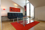 Spacious Apartment in Madrid centro